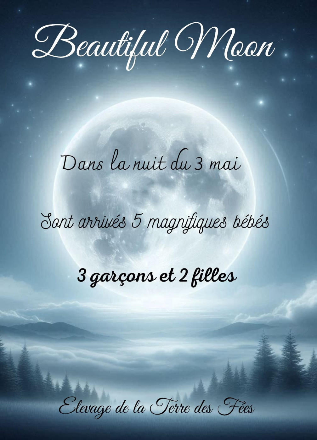 De La Terre Des Fées - Bouvier Bernois - Portée née le 03/05/2026